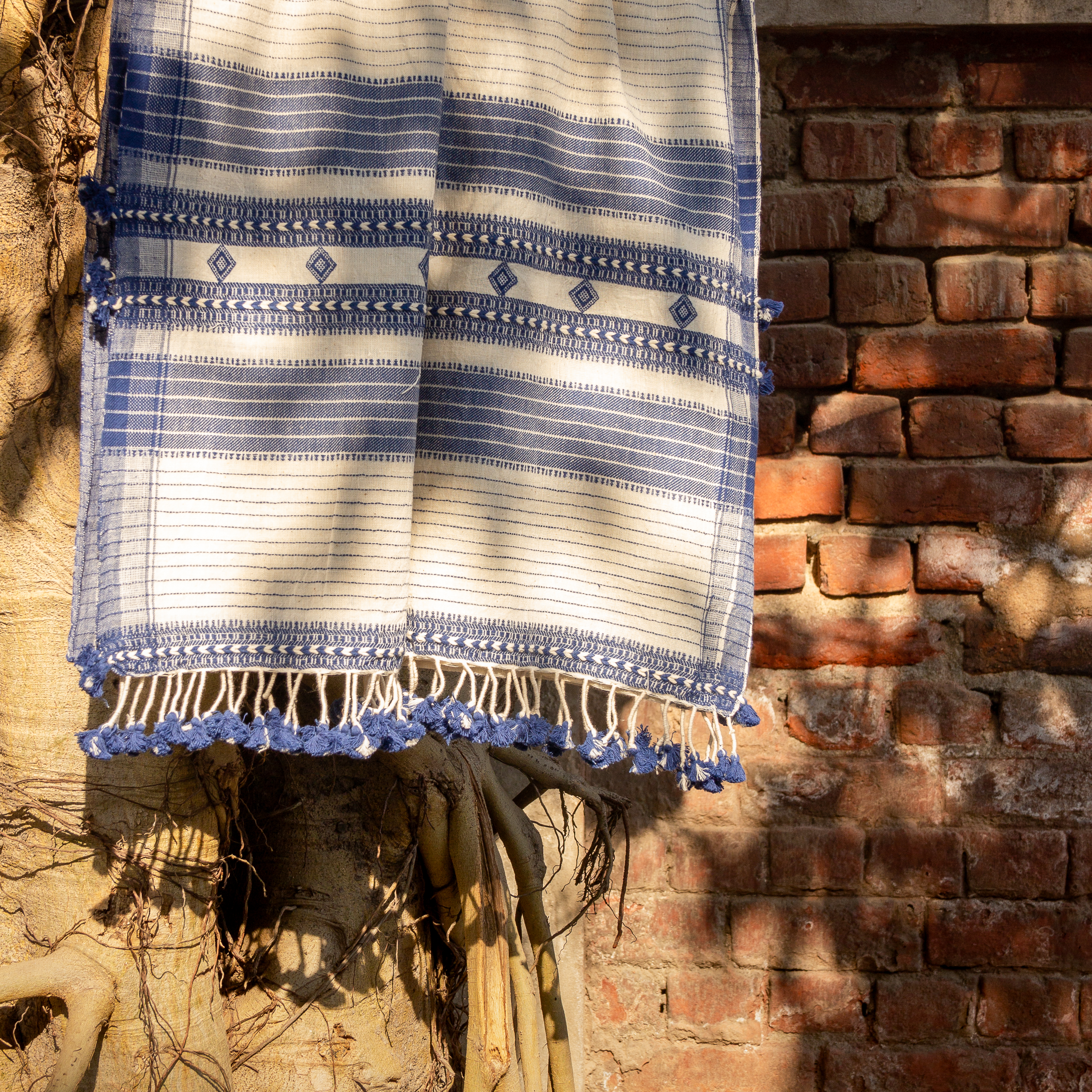 white & Bluedouble border